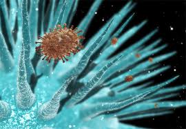 مرکز کنترل و پیشگیری بیماری در آمریکا از خطر حمله ویروس مرگبار درایالت کالیفرنیای این کشور و آلودگی 10 هزار نفر از مردم این ایالت خبرداد .