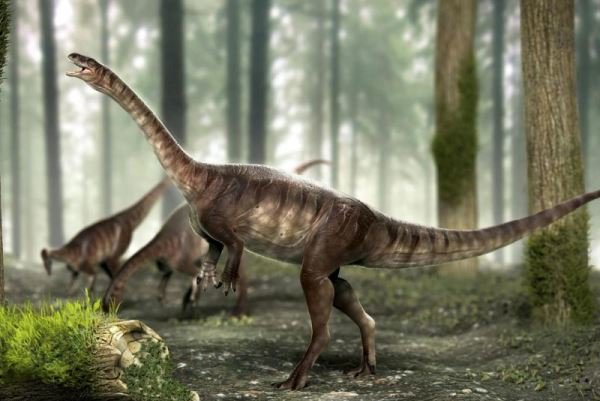 دانشمندان بقایای دایناسوری با وزن حدود ۱۰۰ کیلوگرم و ارتفاع ۵ فوت در برزیل کشف کرده اند که به ۲۲۵ میلیون سال قبل تعلق دارد.
