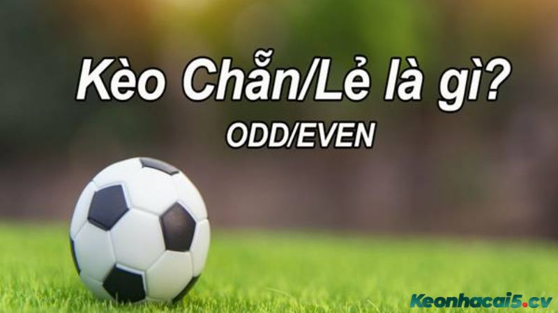 Kèo chẵn lẻ đặc biệt phổ biến trong cá cược bóng đá