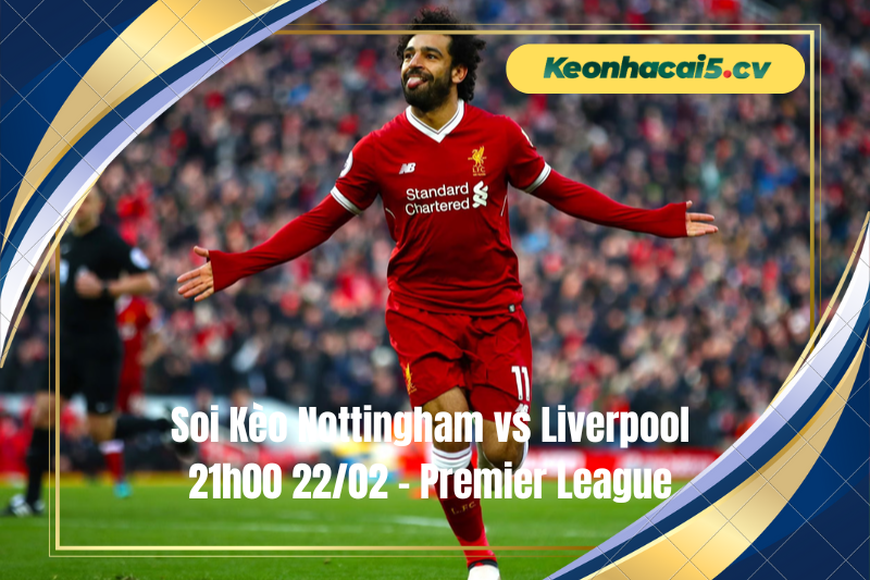 Đội hình dự kiến trước trận Nottingham vs Liverpool Đội hình dự kiến trước trận Nottingham vs Liverpool
